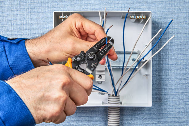 Best Electrical Maintenance Services  in Roscoe, TX